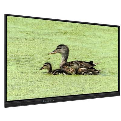 กระดานไวท์บอร์ดแบบโต้ตอบได้ขนาด 65 นิ้ว All In One พร้อมหน่วยความจำ 8+128G และระบบสัมผัสอินฟราเรดสำหรับการสอนและการประชุม