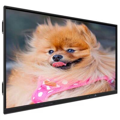 IBoard Touchscreen Interactive Flat Panel with Windows OPS Computer Optional, 1.07 G Color Depth (8bits+FRC), and 350 Cd/m² Brightness for Modern Meeting Rooms