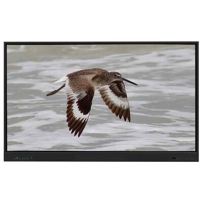 กระดานไวท์บอร์ดแบบโต้ตอบ Iboard Android 15 EDLA พร้อมแผงขนาด 65 นิ้ว สำหรับการเรียนรู้ทางอิเล็กทรอนิกส์